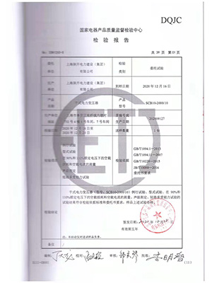 檢驗(yàn)報(bào)告